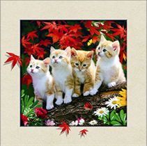 ארבעה גורי חתולים Art Canvas