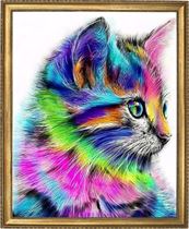 חתלתול קשת Art Canvas