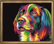כלב הקשת Art Canvas