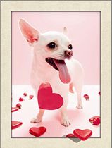 באהבה Art Canvas